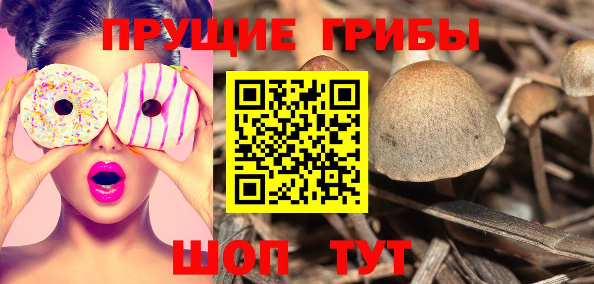 Псилоцибиновые грибы MAGIC MUSHROOMS  что такое наркотик  Малоярославец  Вход с VPN 